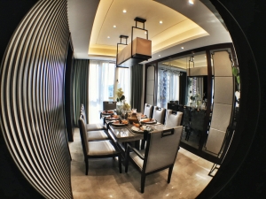 FISHEYE LENS F182S